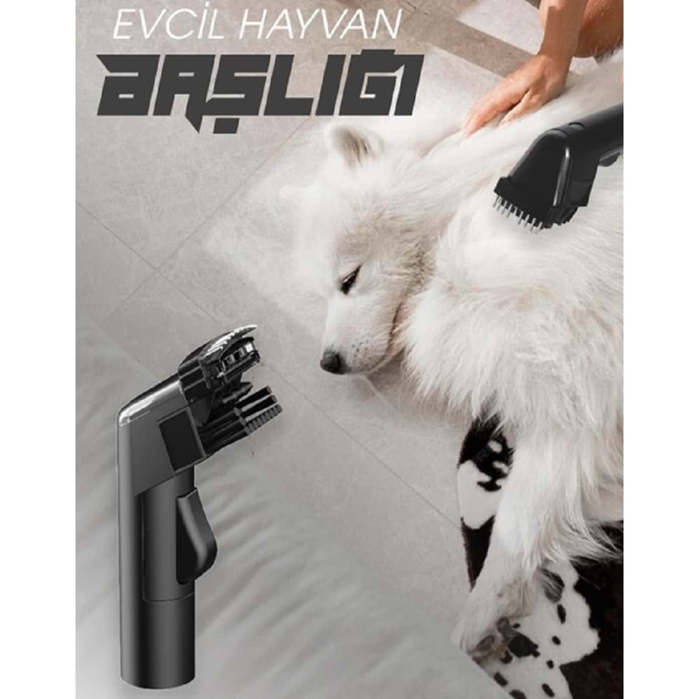 Pirantech V22C Koltuk ve Halı Yıkama Makinesi