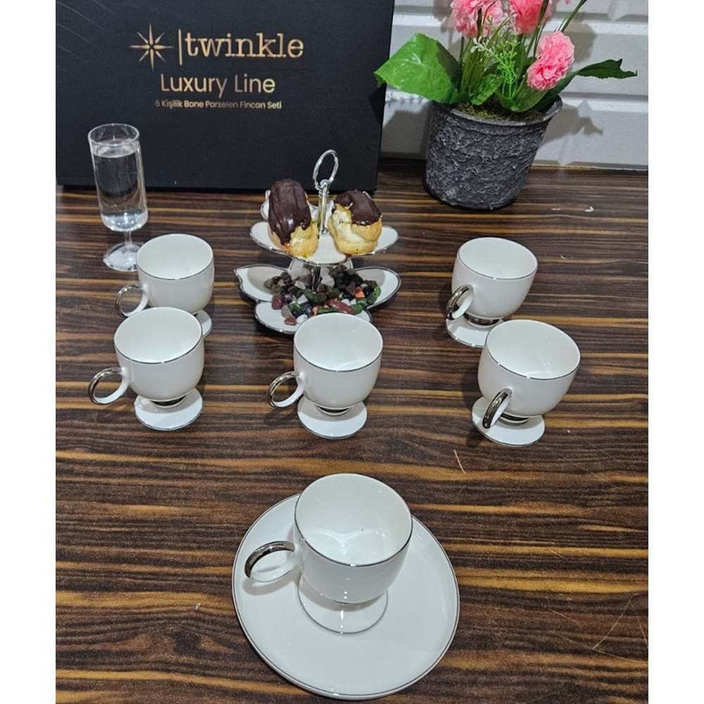 Twinkle Luxury Platin Bone Porselen Kahve Fincan Takımı 02Plt01